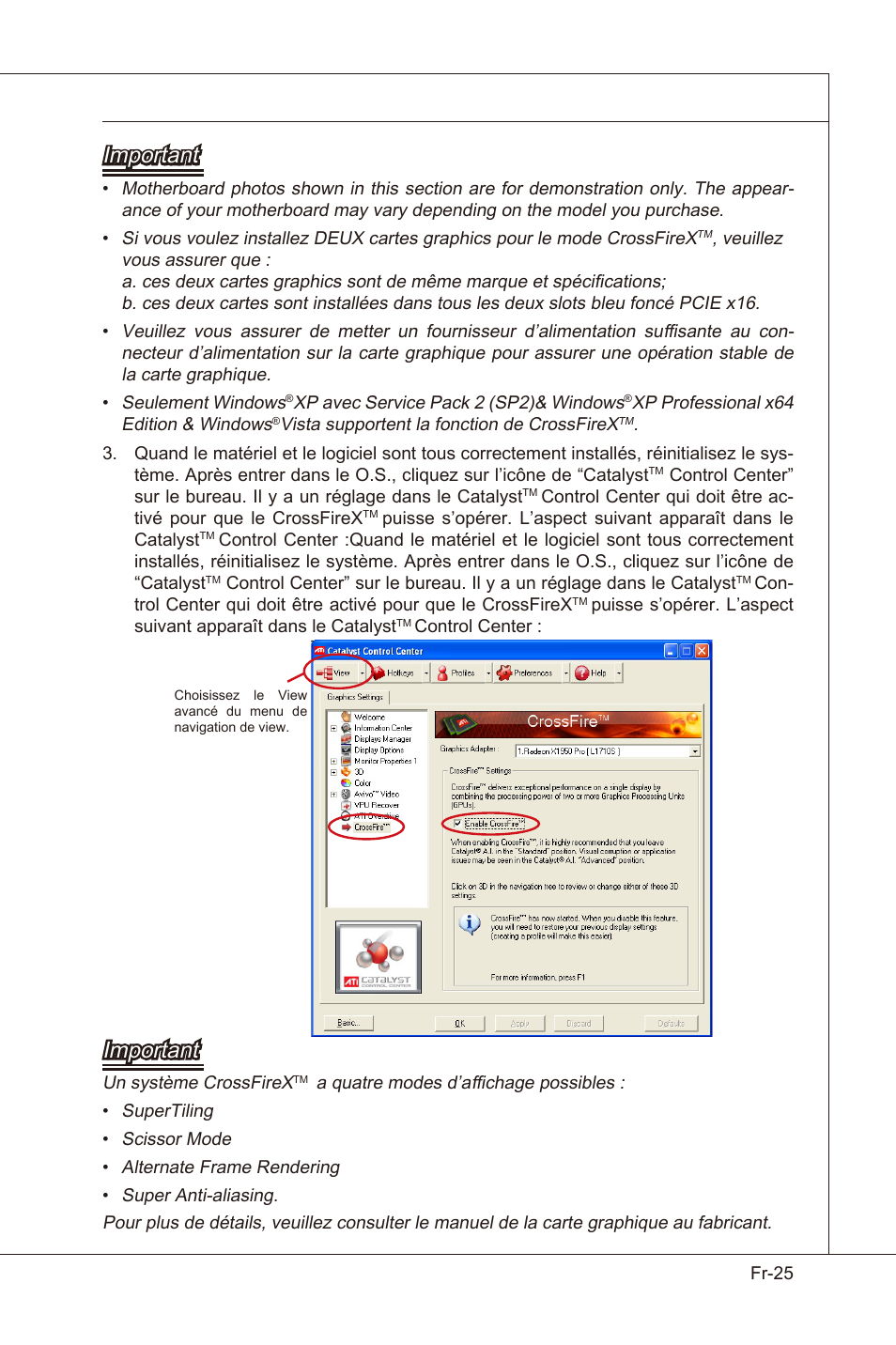 Important | MSI X58 Pro-E User Manual | Page 115 / 170