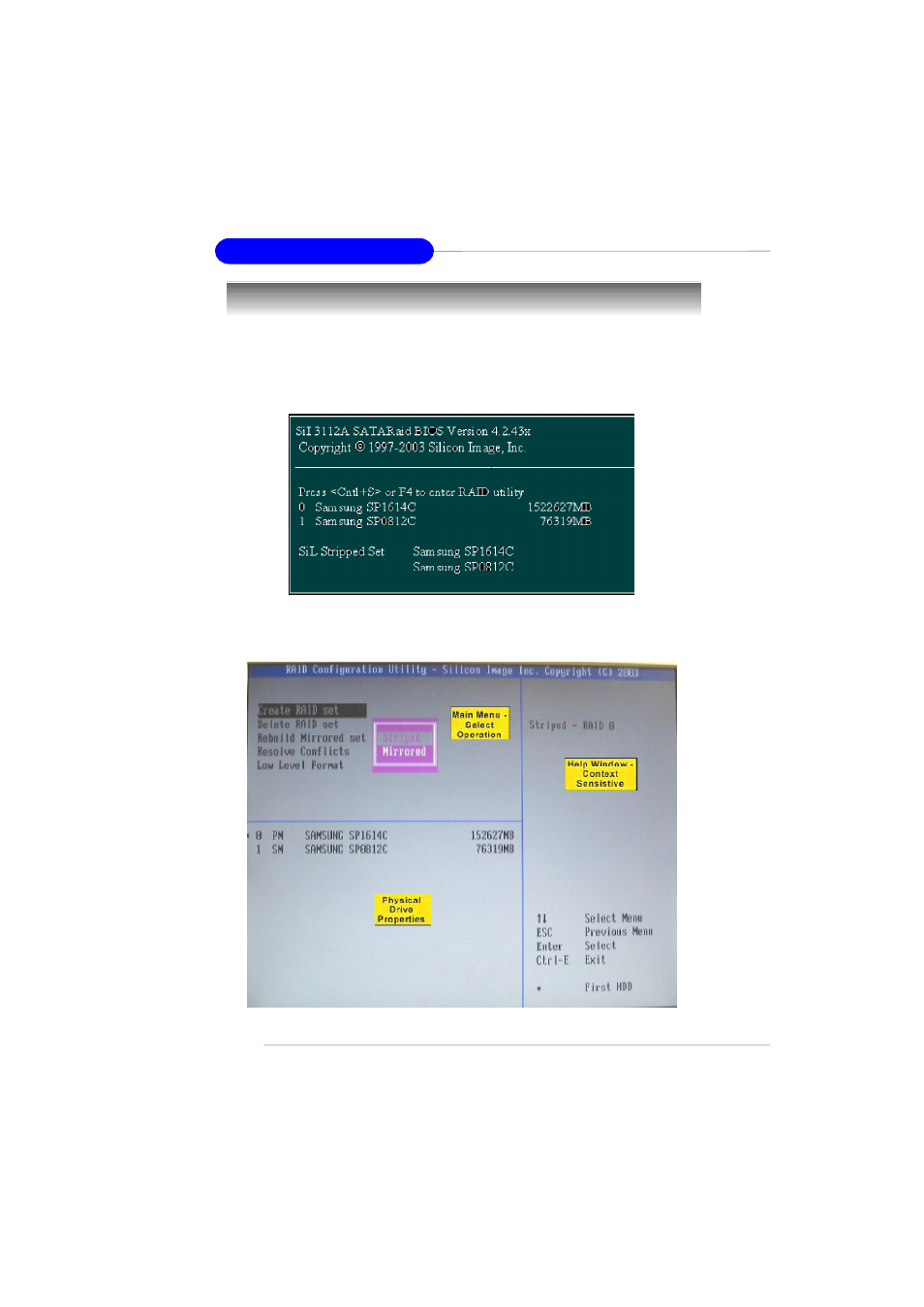 Creating raid sets | MSI RS482M4-FD/ILD/IL/L User Manual | Page 111 / 158