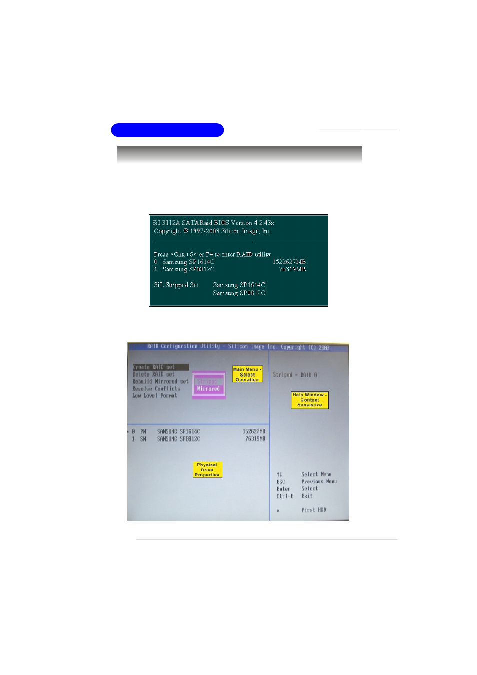 Creating raid sets | MSI RS482M4-CSIP User Manual | Page 111 / 158