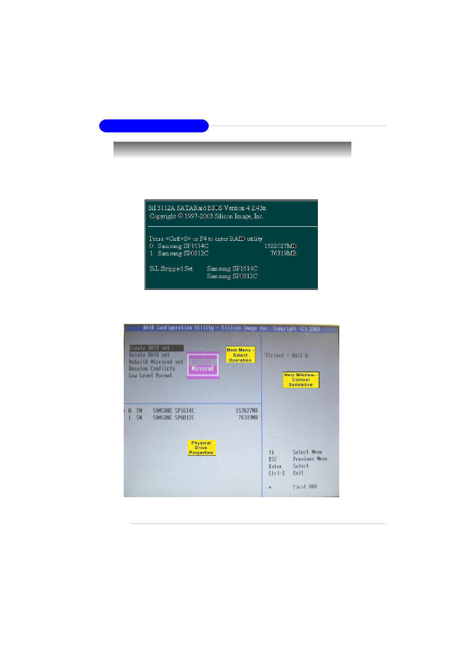 Creating raid sets | MSI RS480M User Manual | Page 70 / 106