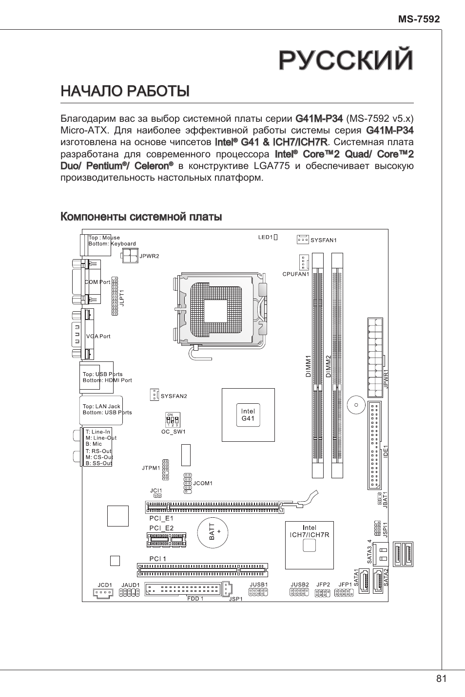 Русский, Начало работы | MSI G41M-P34 User Manual | Page 81 / 153