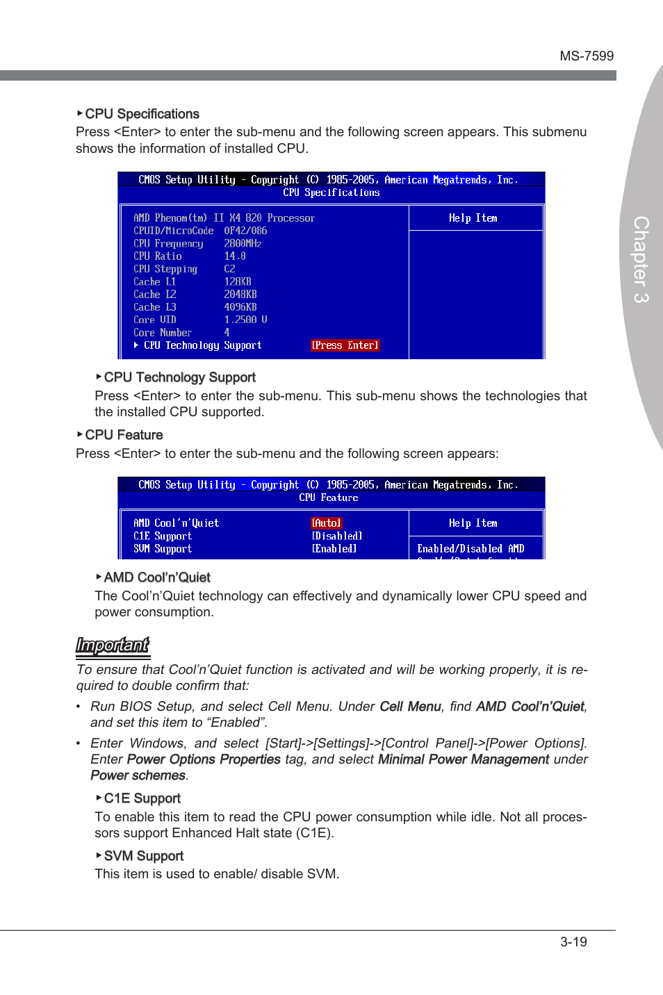 Chapter 3, Important | MSI 870-G45 User Manual | Page 56 / 104