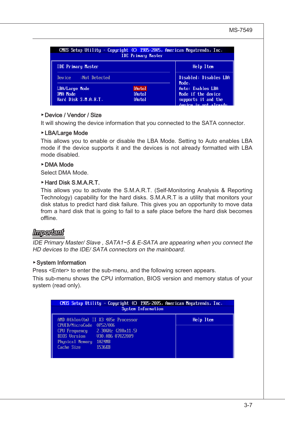 Important | MSI 785GTM-E45 User Manual | Page 43 / 106