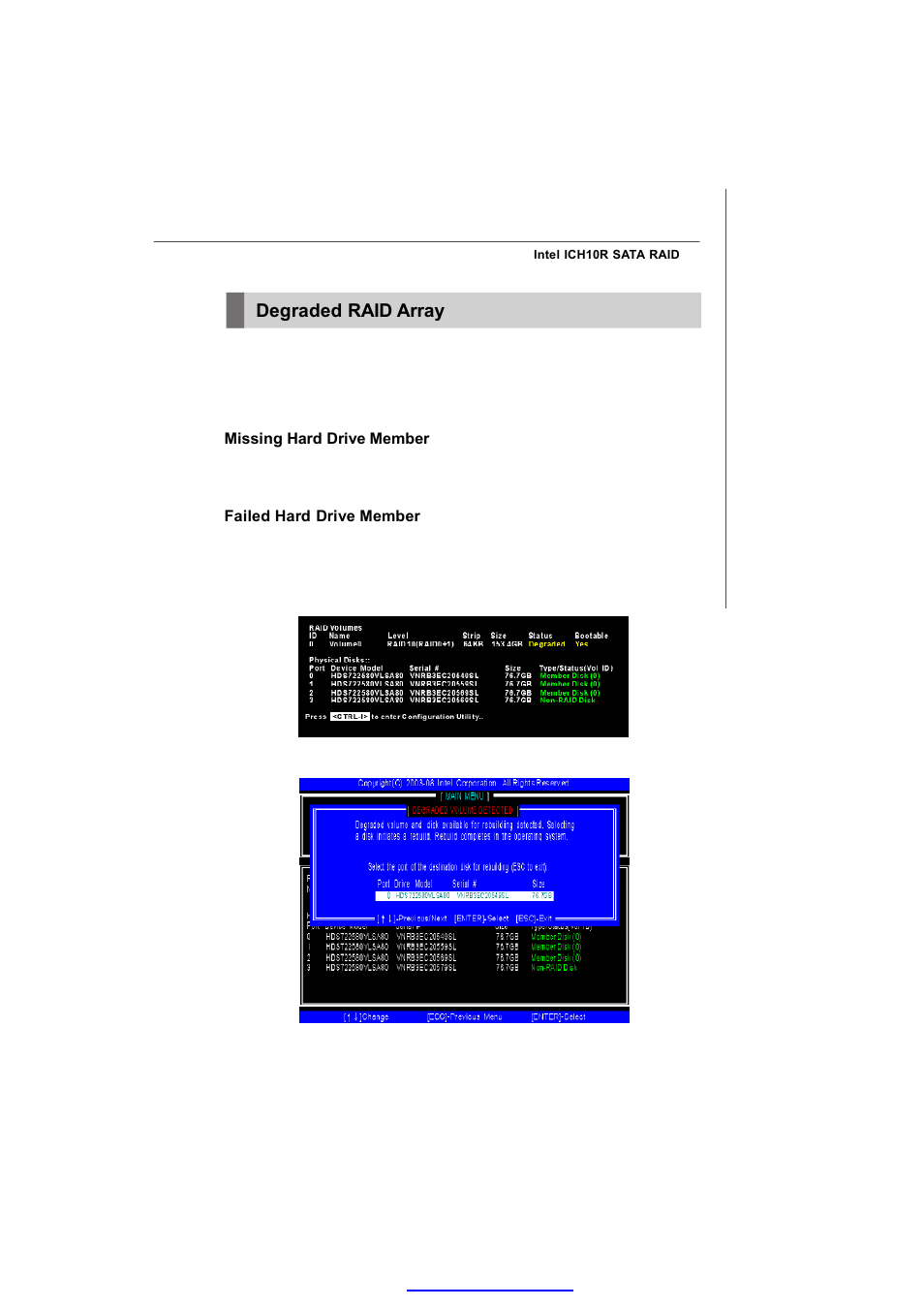 Degraded raid array | MSI MS-91C2 Series User Manual | Page 81 / 82
