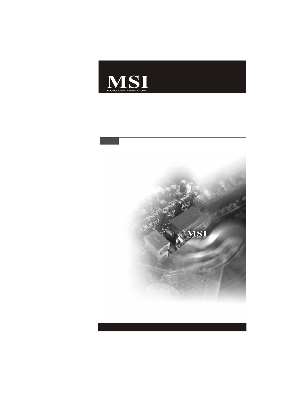 MSI MS-9656 series User Manual | 81 pages