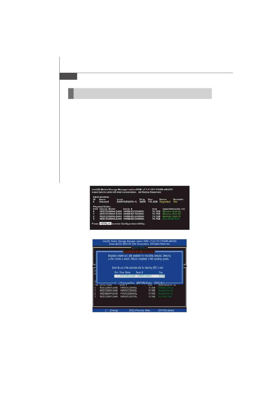 Degraded raid array | MSI MS-9656 series User Manual | Page 80 / 81