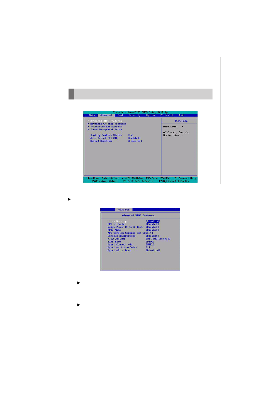 Advanced | MSI Keeper 945GME V2.1 User Manual | Page 45 / 62
