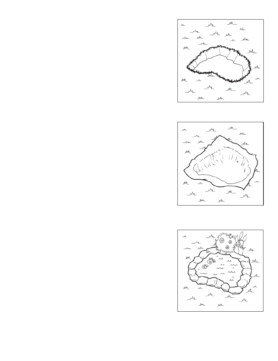 TotalPond PVC12010 User Manual | Page 2 / 3