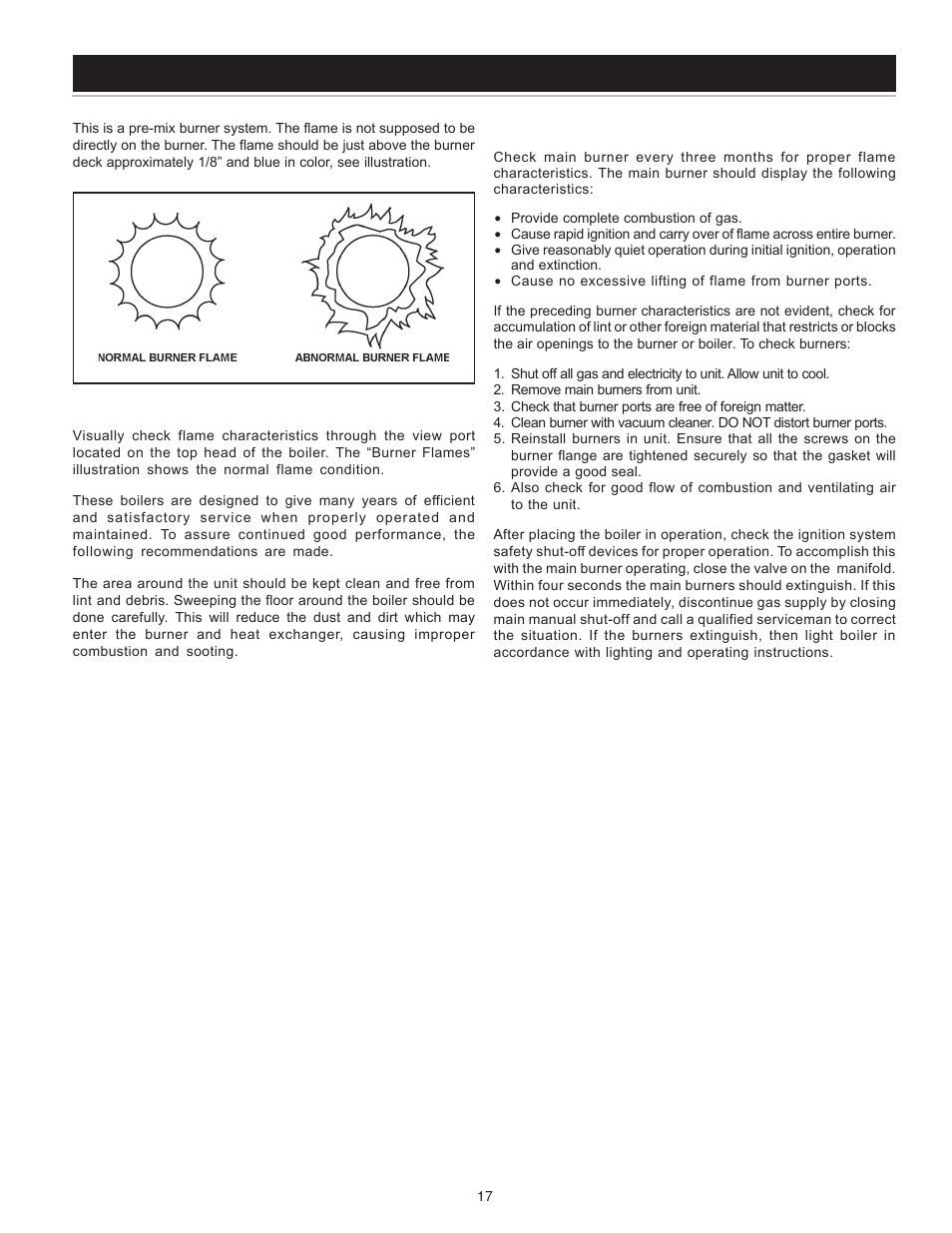 Preventative maintenance | A.O. Smith 101 User Manual | Page 17 / 24