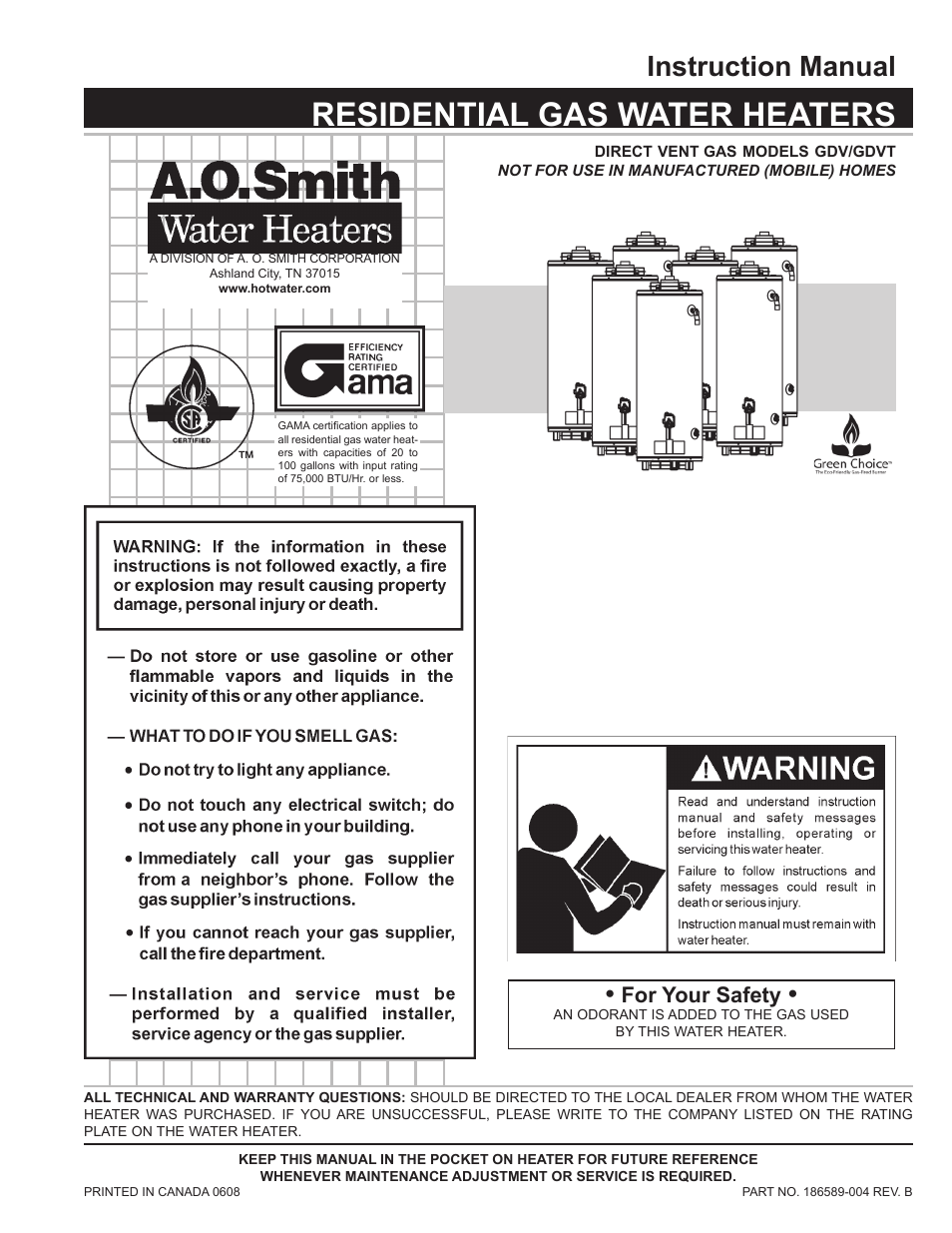 A.O. Smith 186589-004 User Manual | 31 pages