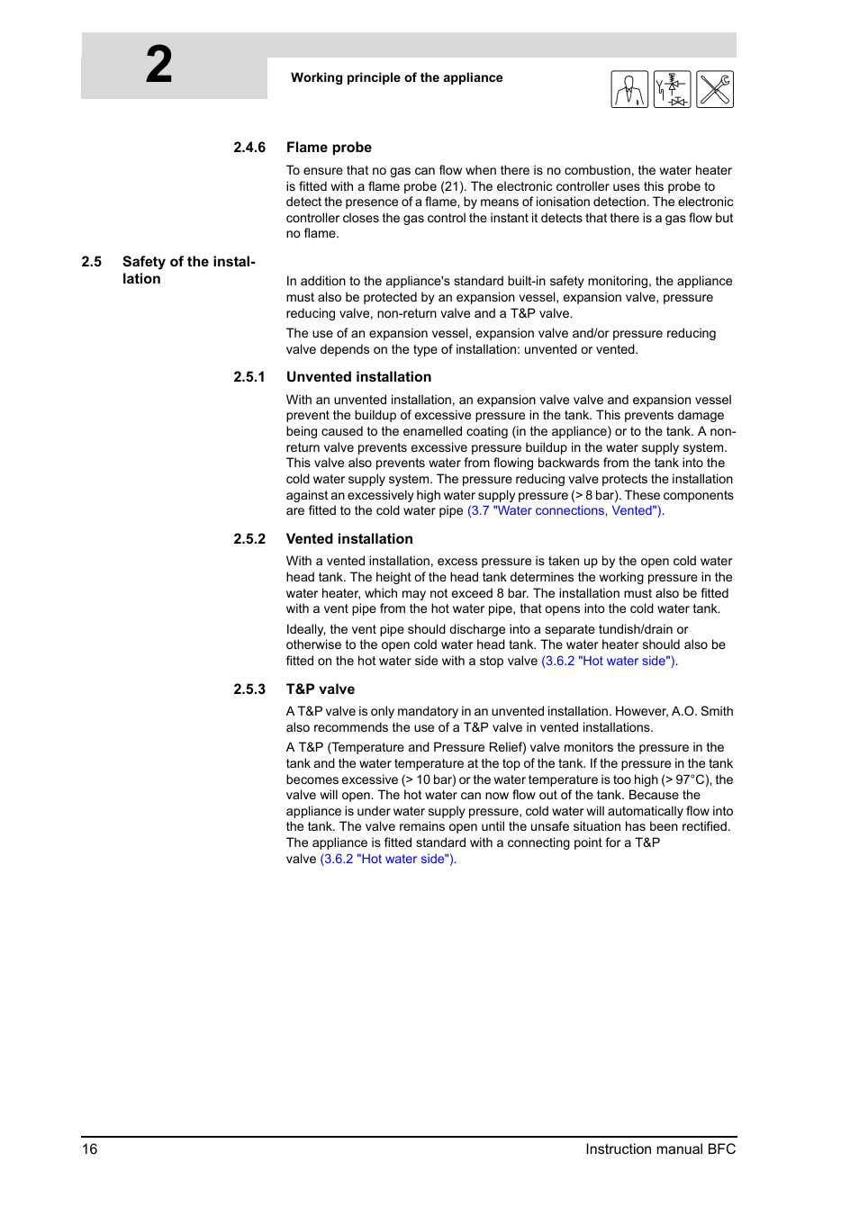 Safety of the installation, Flame probe, 2gis | A.O. Smith 120 through 250 Series User Manual | Page 16 / 98