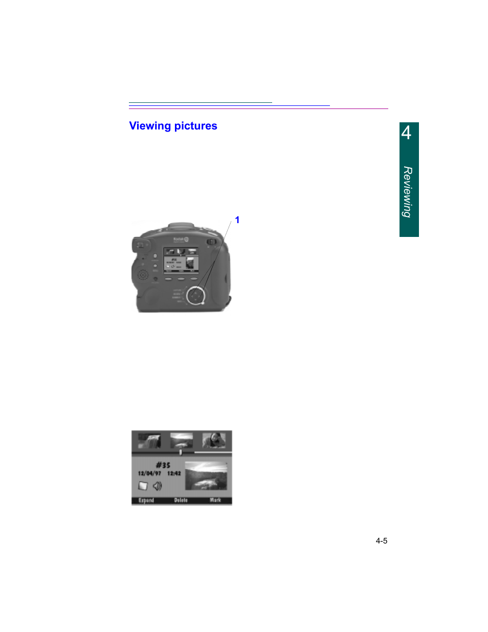 Reviewing viewing pictures | Kodak DC260 User Manual | Page 49 / 140