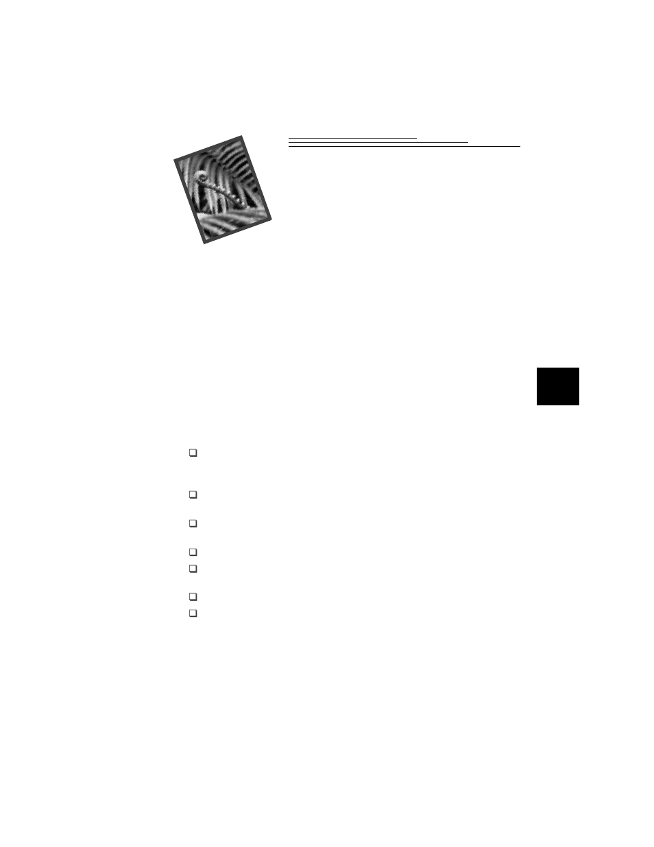 4 installing your software, Kodak dc3200 picture transfer software, System requirements | Kodak DC3200 User Manual | Page 31 / 60