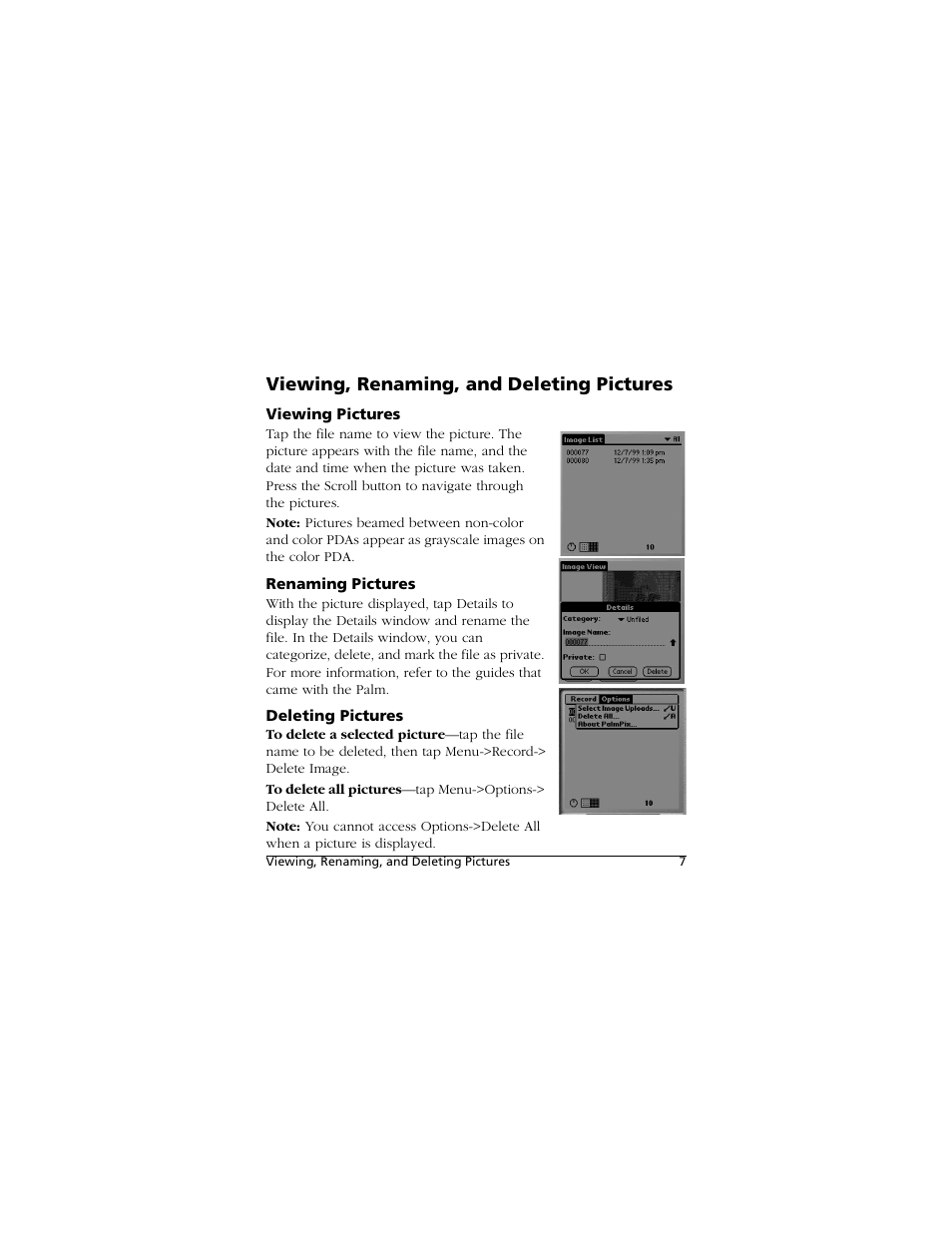 Viewing, renaming, and deleting pictures, Viewing pictures, Renaming pictures | Deleting pictures | Kodak PALMPIX User Manual | Page 7 / 18
