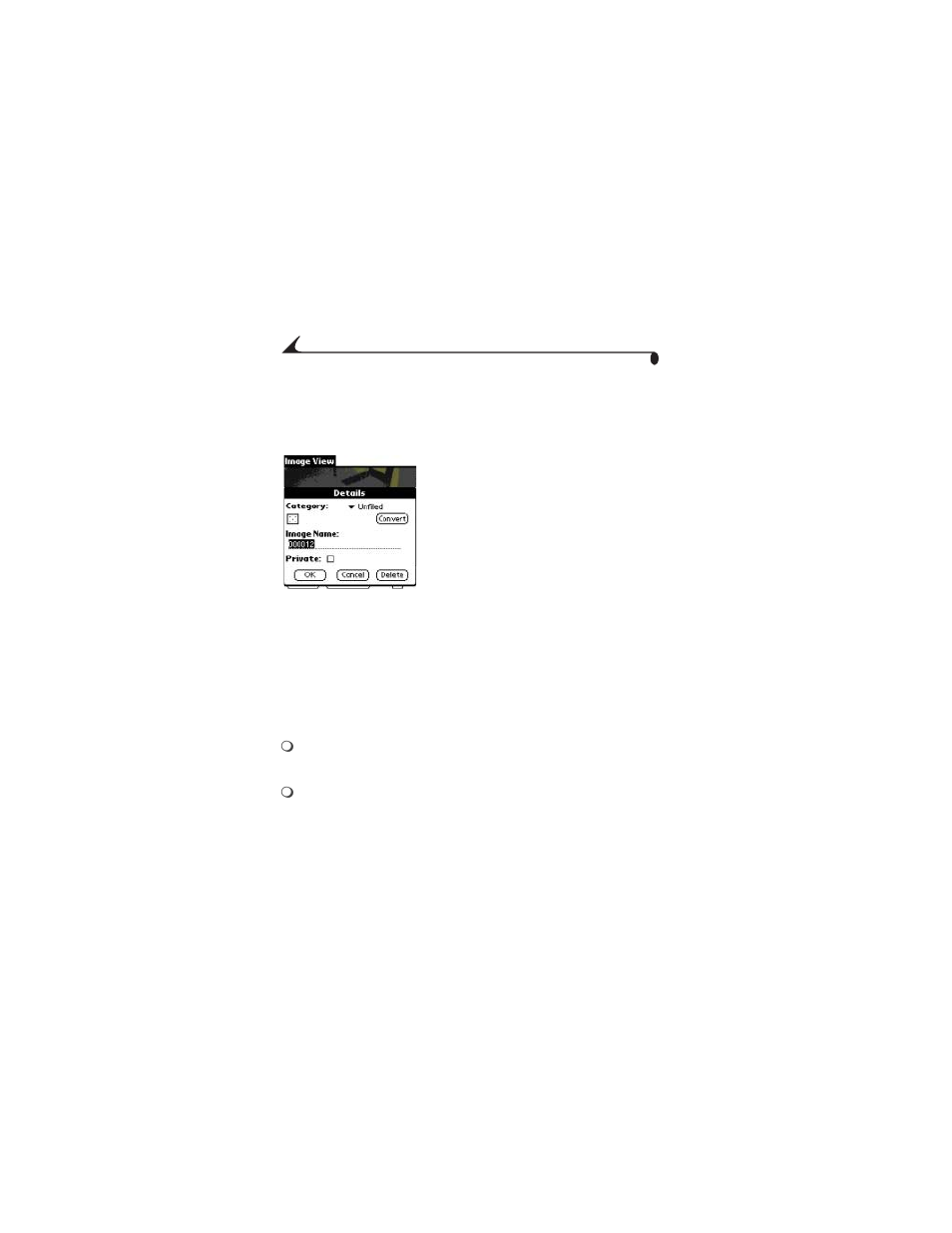 Converting images on your handheld, Storing pictures on your handheld | Kodak PALM m500 User Manual | Page 34 / 56