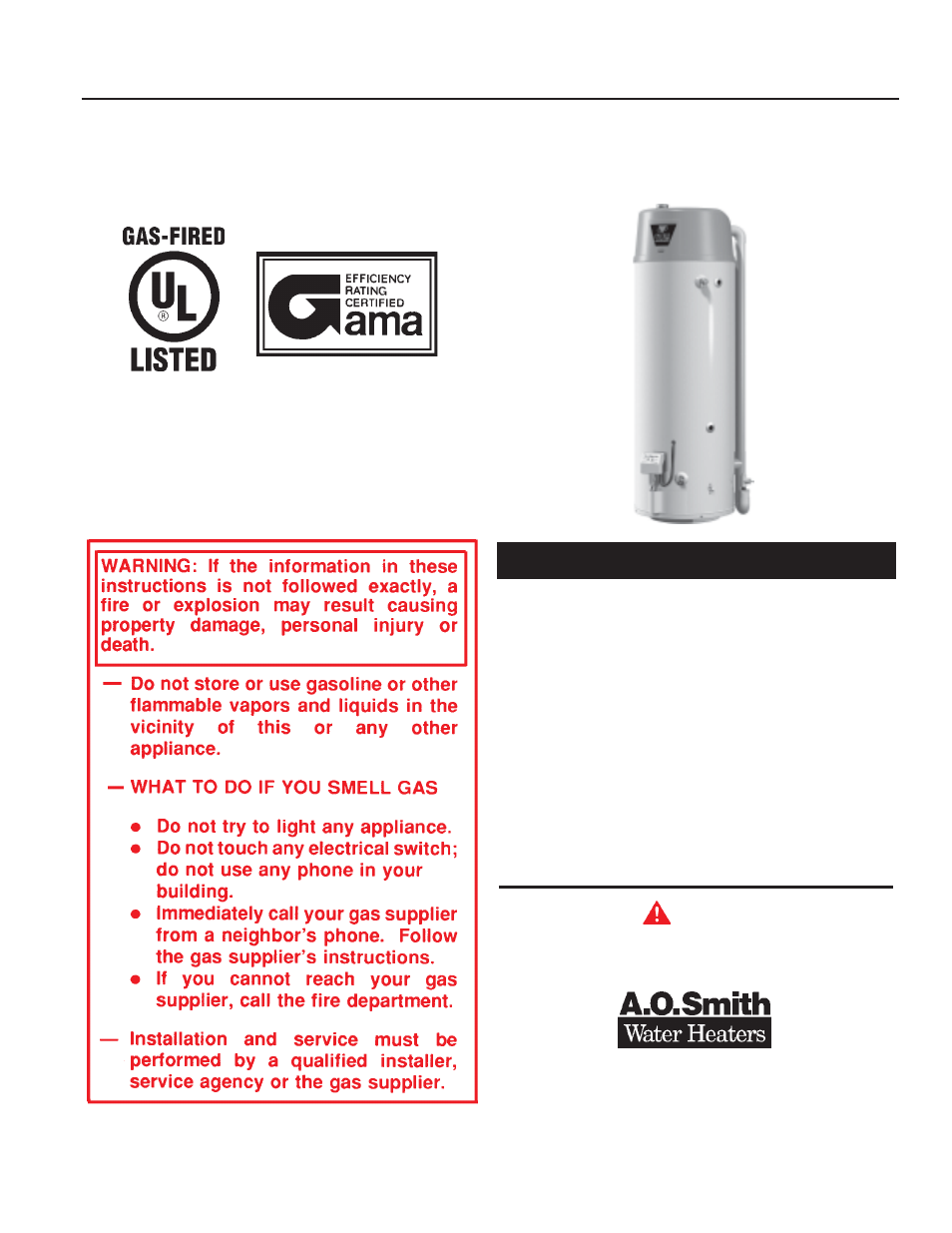 A.O. Smith BTX-80 User Manual | 24 pages