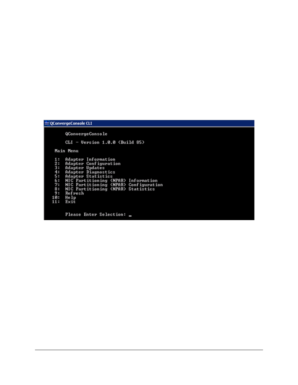 Qconvergeconsole (qcc) cli | Lenovo ThinkServer RD540 User Manual | Page 75 / 132