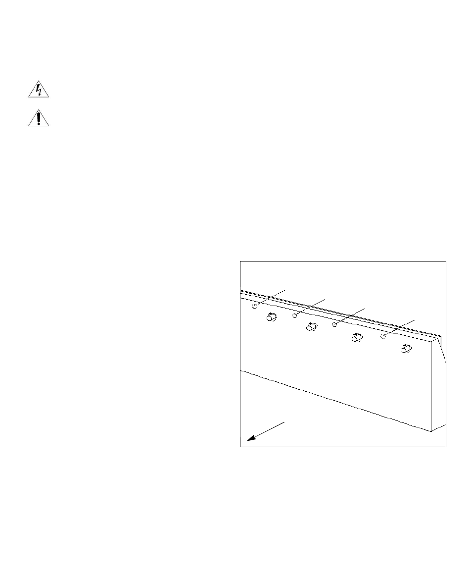 Anthem Audio Amp 1 User Manual | Page 11 / 13