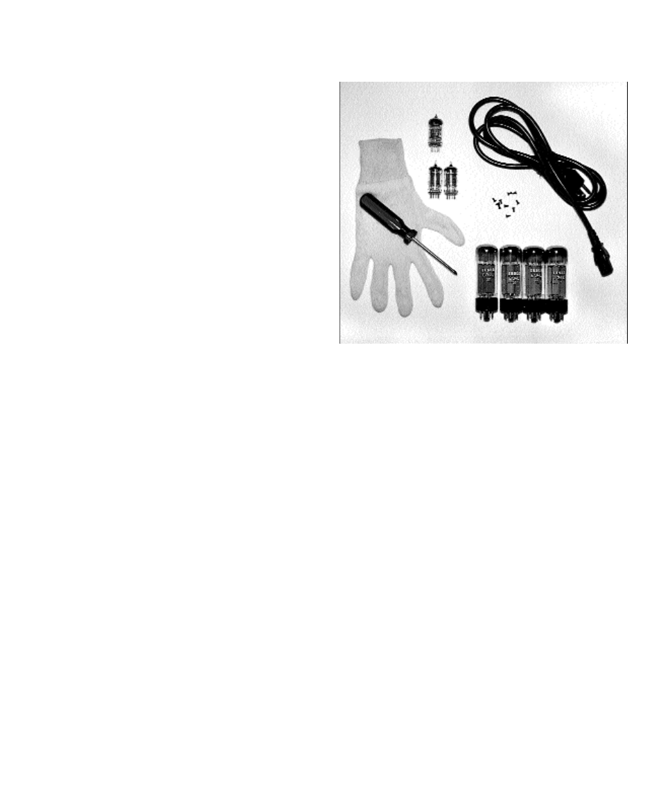 Anthem Audio Amp 1 User Manual | Page 3 / 13