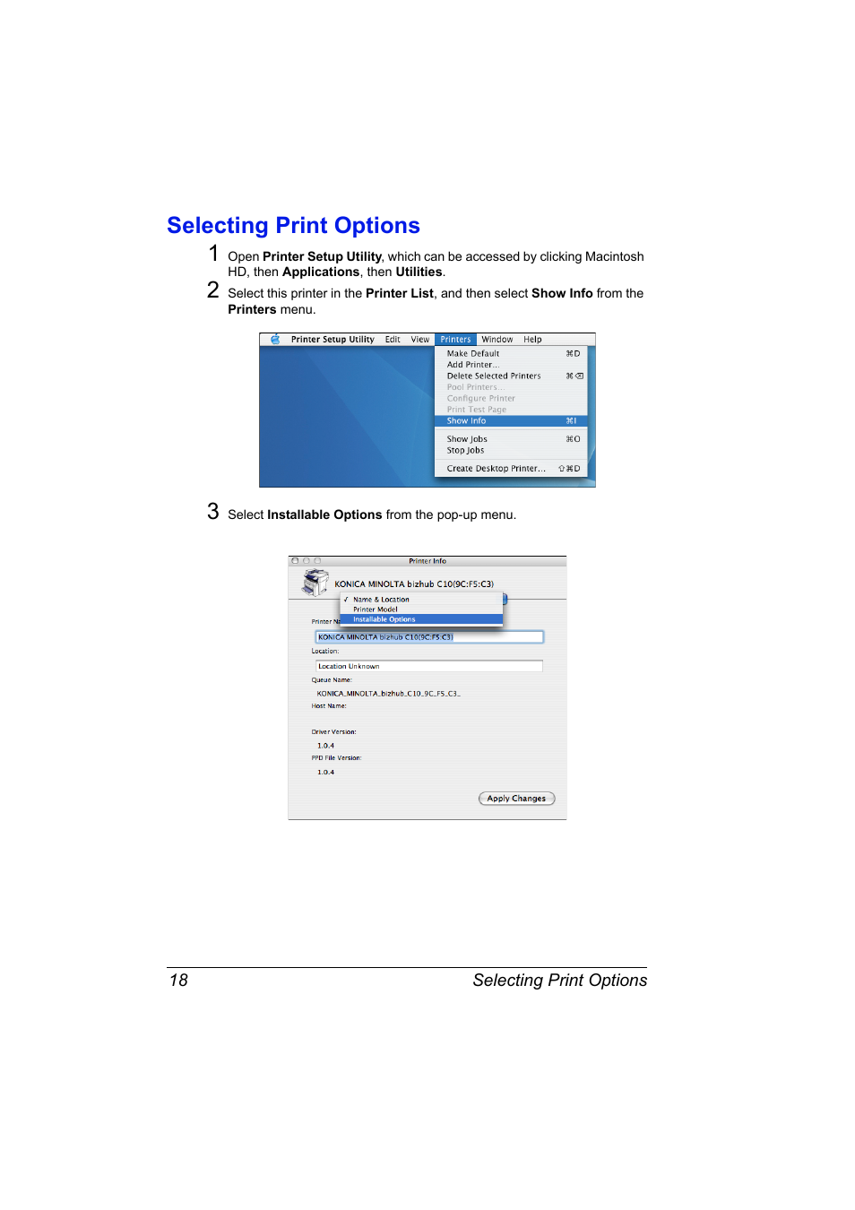 Selecting print options, Selecting print options 18, Selecting print options 1 | Konica Minolta bizhub C10X User Manual | Page 28 / 198