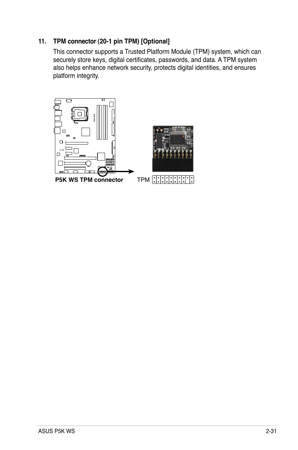 Asus p5k ws 2-31, P5k ws tpm connector tpm | Asus P5K WS User Manual | Page 53 / 148