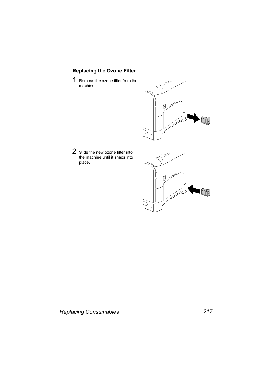 Replacing the ozone filter, Replacing the ozone filter 217 | Konica Minolta bizhub C20X User Manual | Page 231 / 346