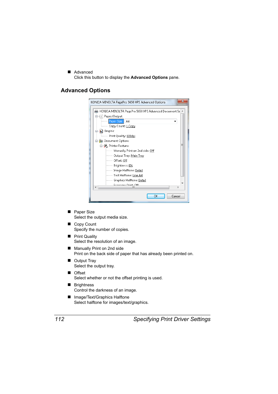 Advanced options, Advanced options 112, Specifying print driver settings 112 | Konica Minolta pagepro 5650 User Manual | Page 130 / 394