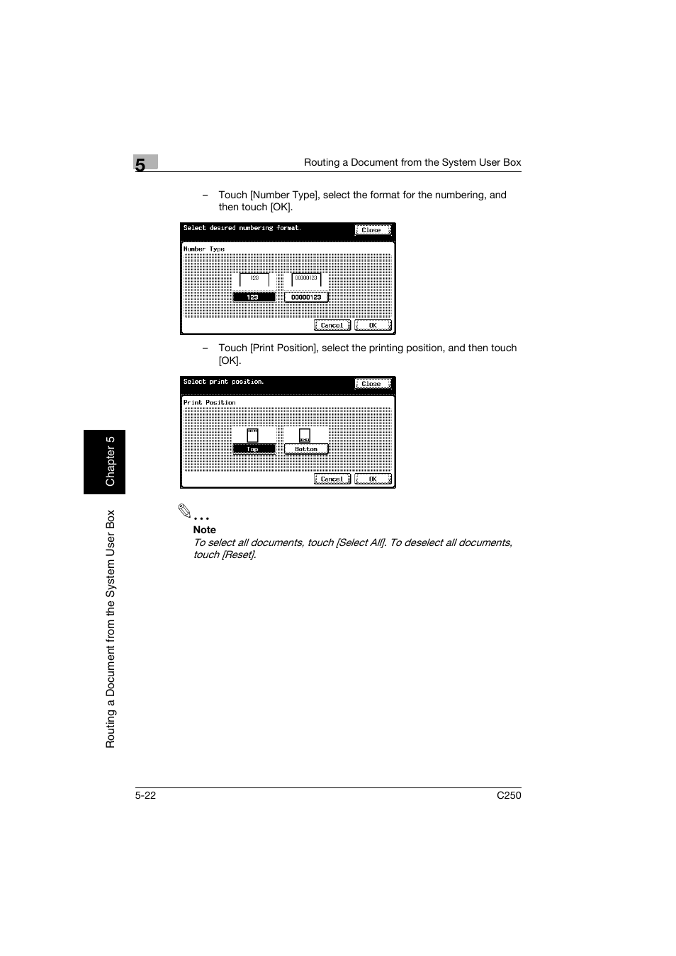 Konica Minolta bizhub C250 User Manual | Page 125 / 194
