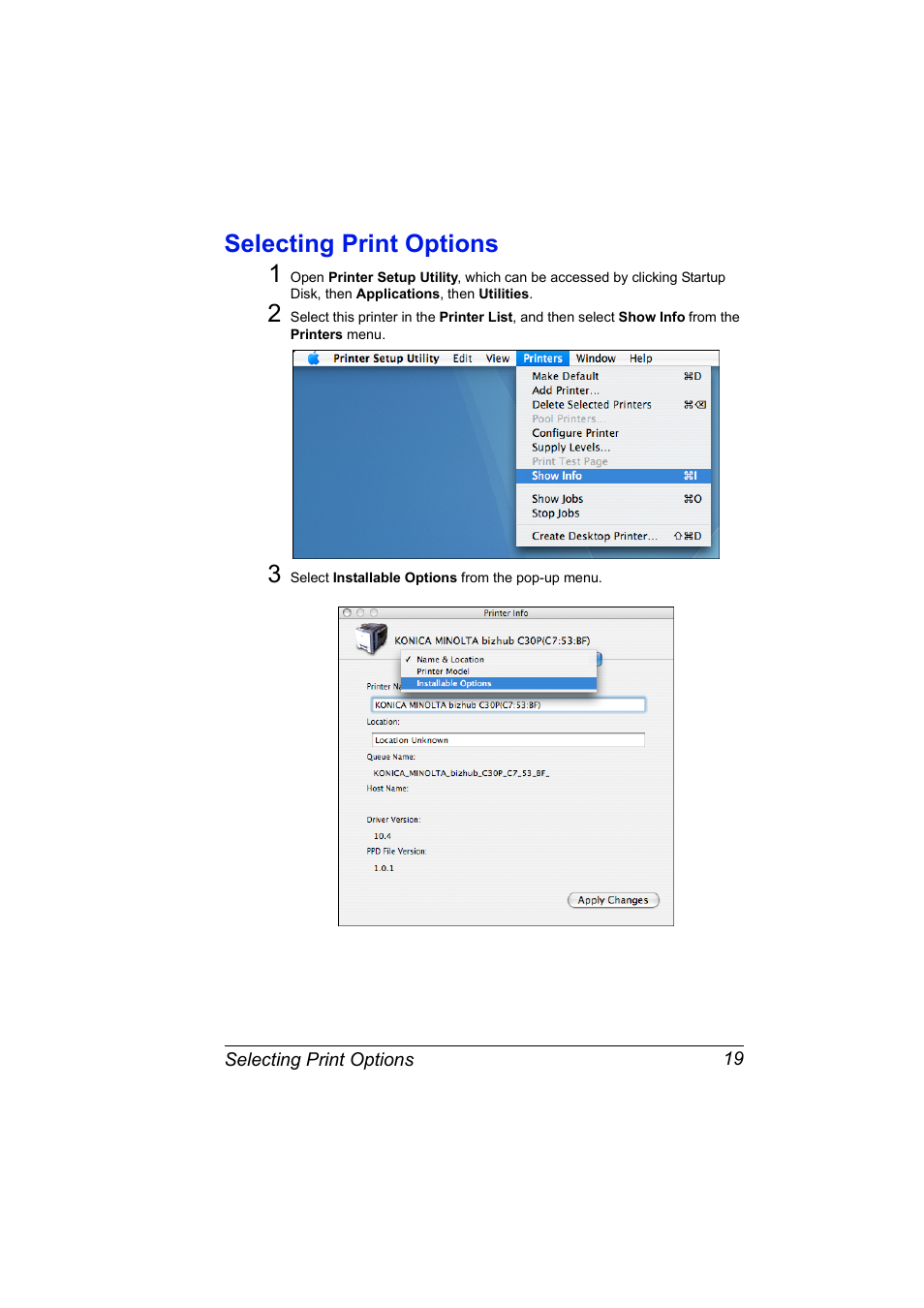 Selecting print options, Selecting print options 19, Selecting print options 1 | Konica Minolta BIZHUB C30P User Manual | Page 37 / 292
