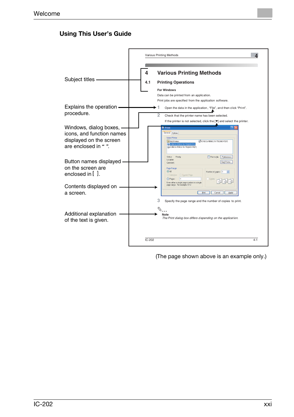 Welcome ic-202 xxi using this user’s guide, The page shown above is an example only.) | Konica Minolta bizhub 750 User Manual | Page 22 / 420