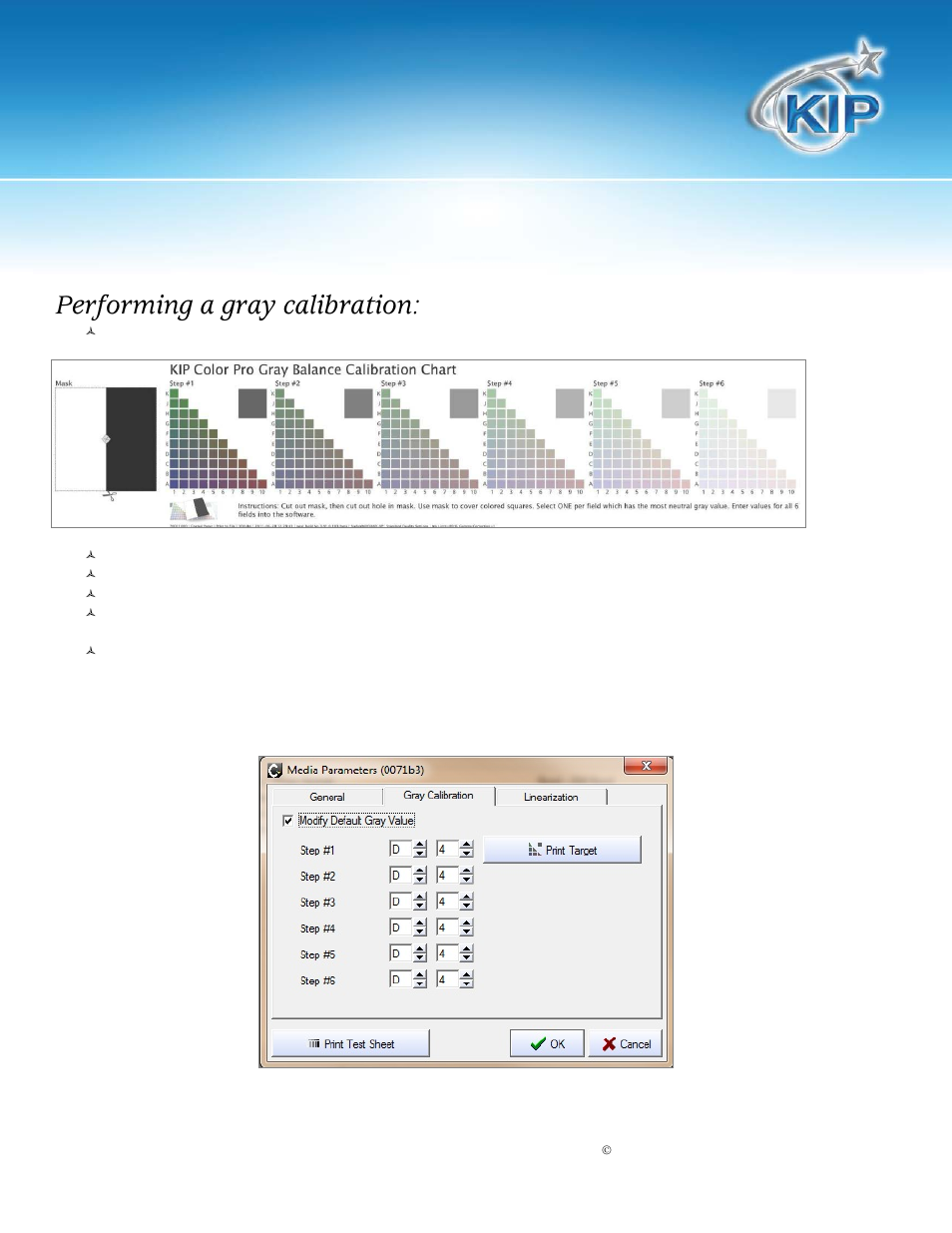 Performing a gray calibration, Color calibration/linearization | Konica Minolta KIP Color 80 User Manual | Page 9 / 12