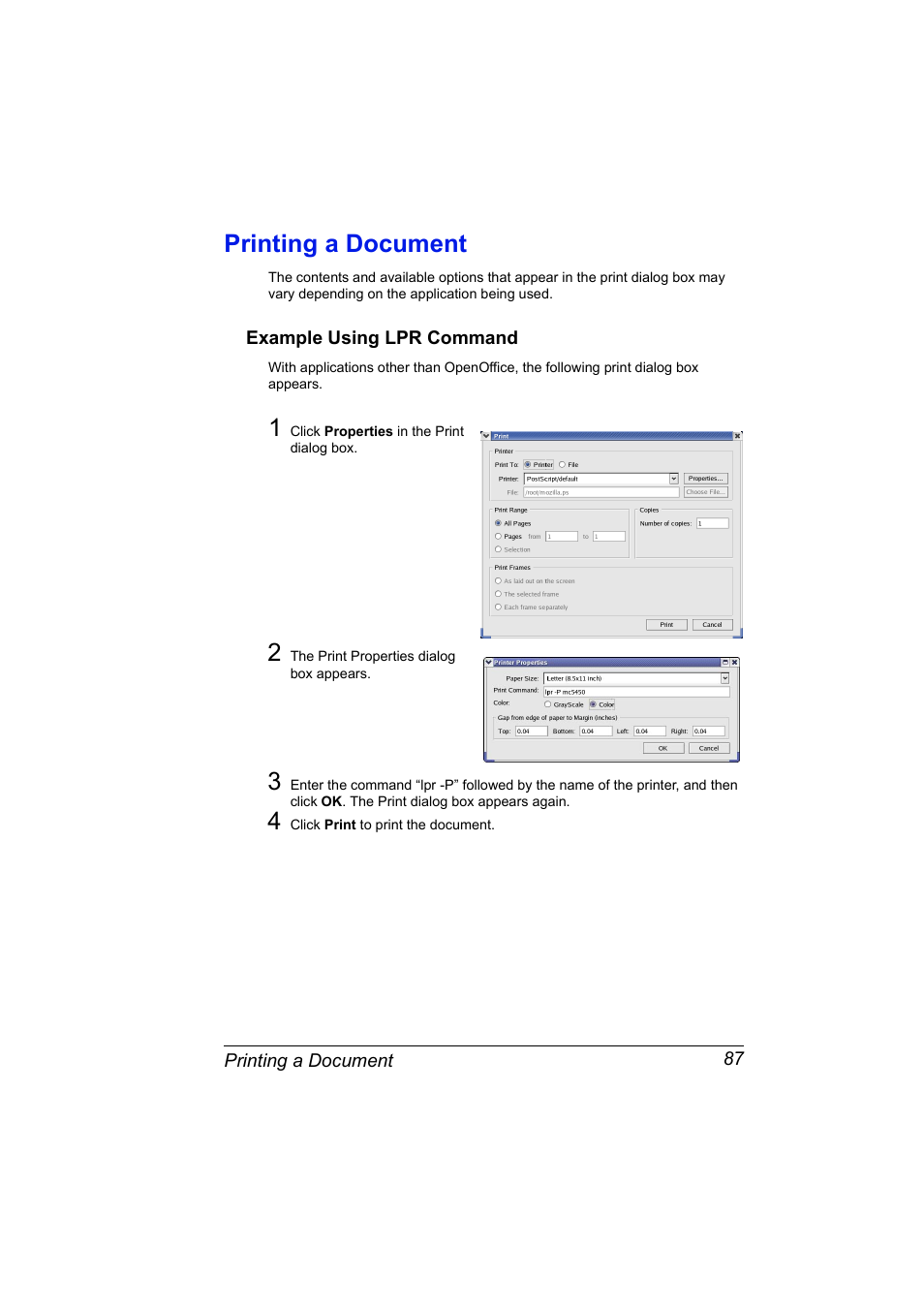 Printing a document, Example using lpr command, Printing a document 87 | Example using lpr command 87 | Konica Minolta Magicolor 5450 User Manual | Page 103 / 258