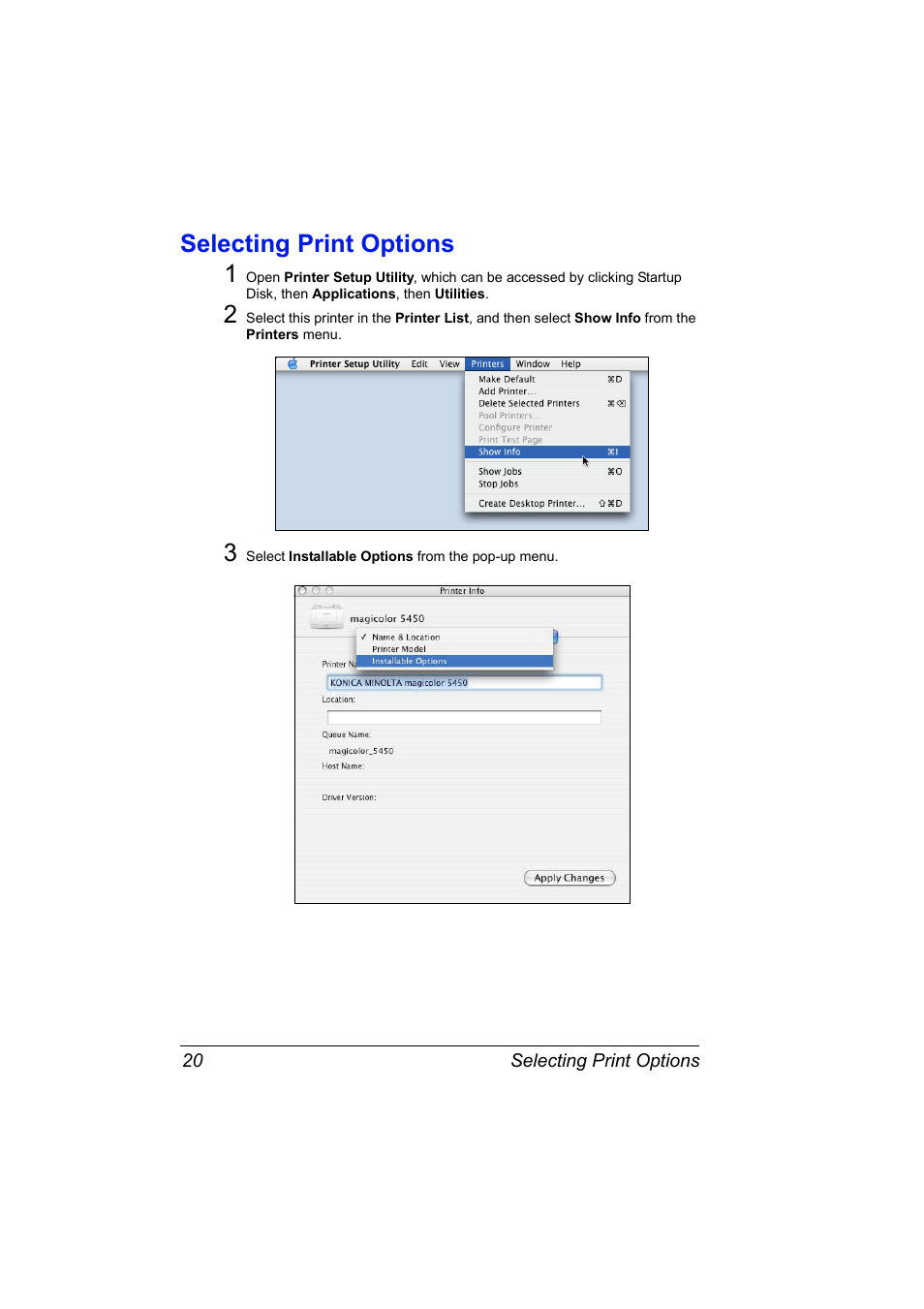 Selecting print options, Selecting print options 20, Selecting print options 1 | Konica Minolta Magicolor 5450 User Manual | Page 36 / 258