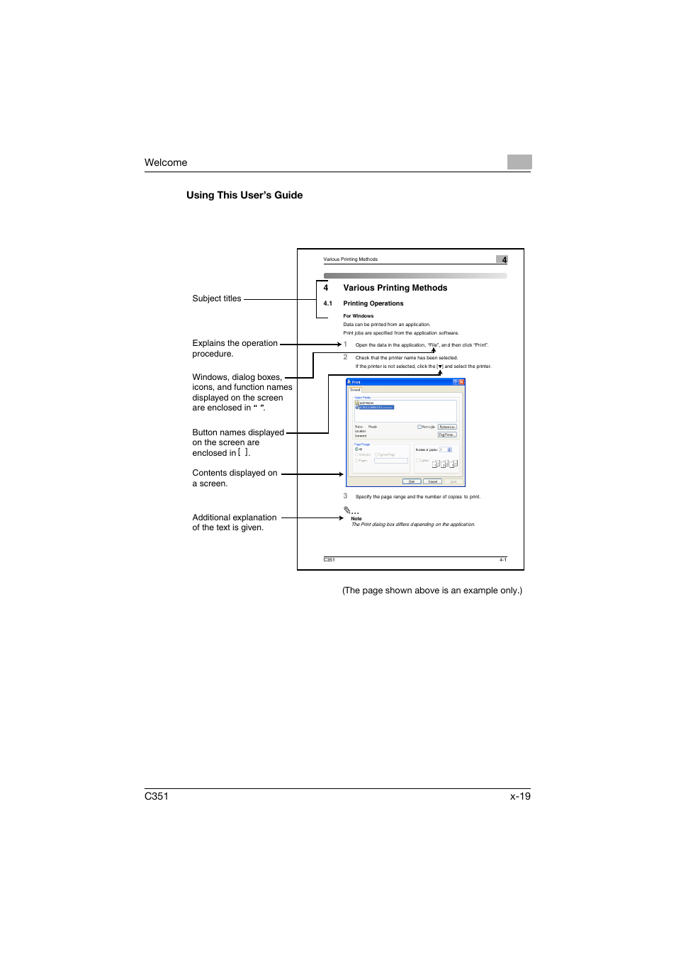 Using this user’s guide | Konica Minolta BIZHUB C351 User Manual | Page 20 / 380