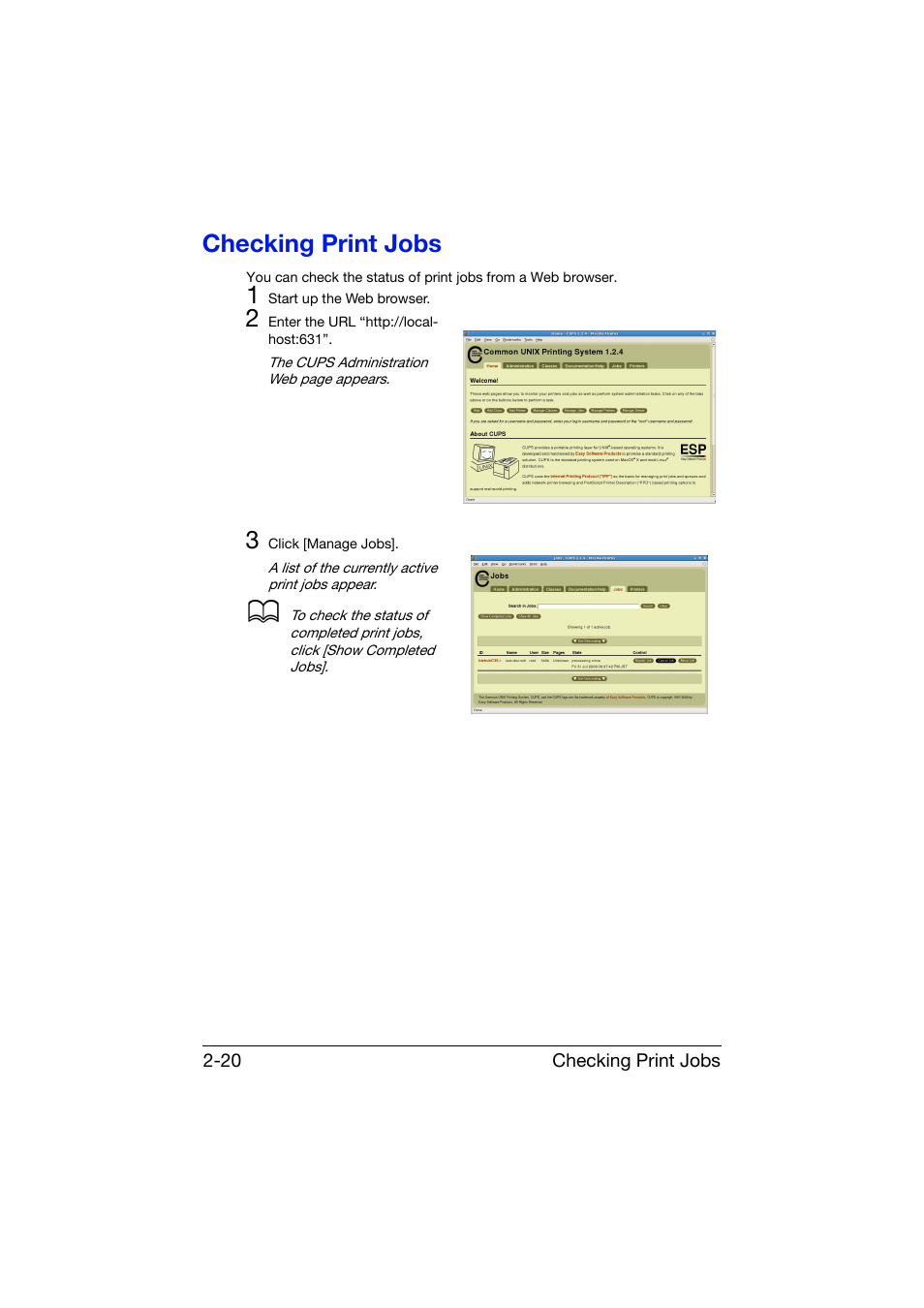 Checking print jobs, Checking print jobs -20 | Konica Minolta bizhub C25 User Manual | Page 157 / 551