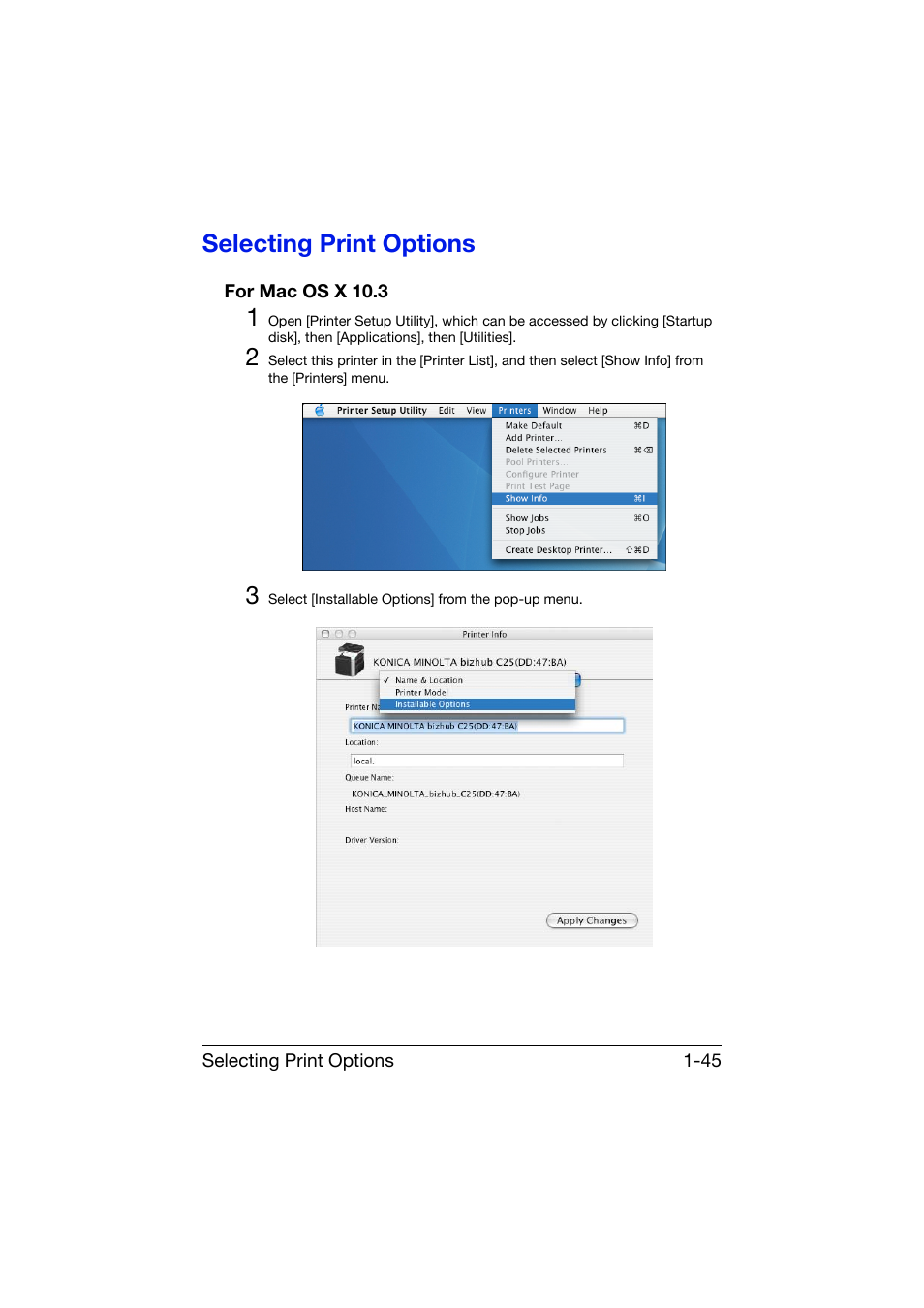 Selecting print options, For mac os x 10.3, Selecting print options -45 | For mac os x 10.3 -45 | Konica Minolta bizhub C25 User Manual | Page 74 / 551