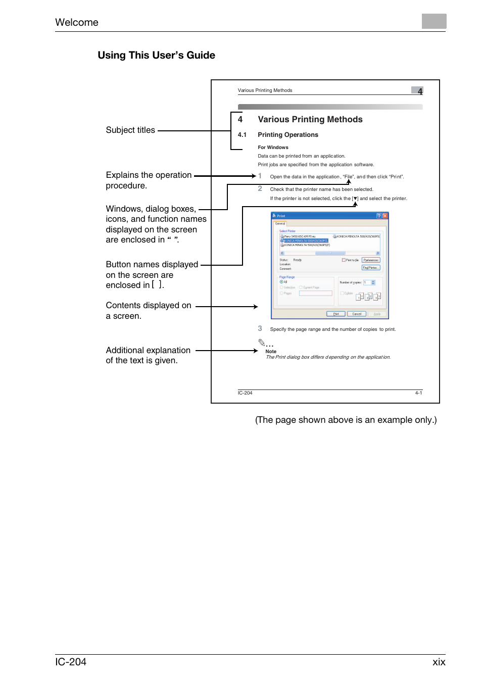 Welcome ic-204 xix using this user’s guide, The page shown above is an example only.) | Konica Minolta bizhub 420 User Manual | Page 20 / 401