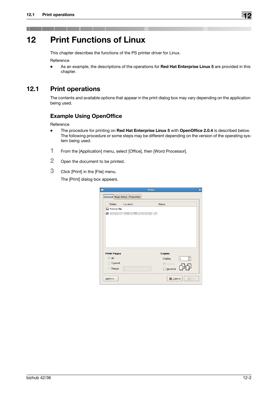 12 print functions of linux, 1 print operations, Example using openoffice | Print functions of linux, Print operations -2 example using openoffice -2 | Konica Minolta bizhub 36 User Manual | Page 125 / 198