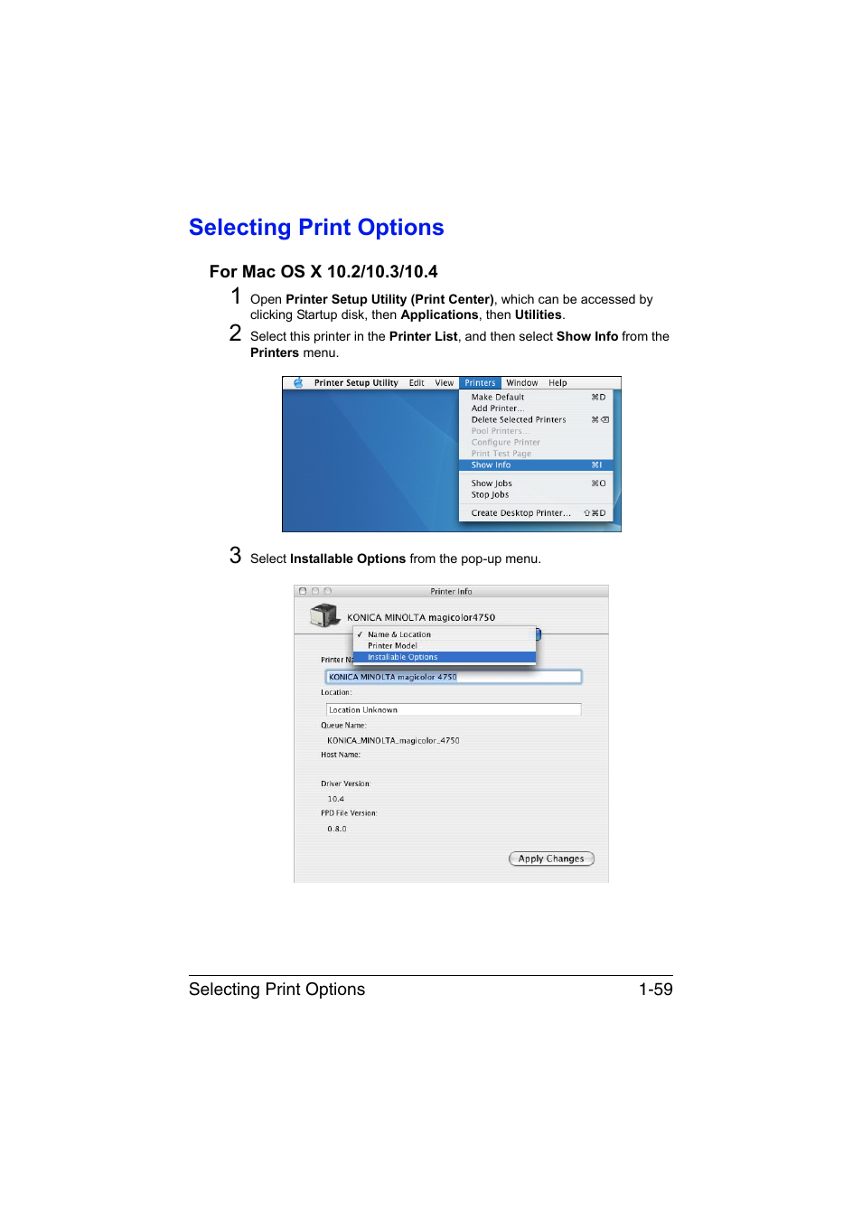 Selecting print options, For mac os x 10.2/10.3/10.4, Selecting print options -59 | For mac os x 10.2/10.3/10.4 -59 | Konica Minolta magicolor 4750EN-4750DN User Manual | Page 84 / 409