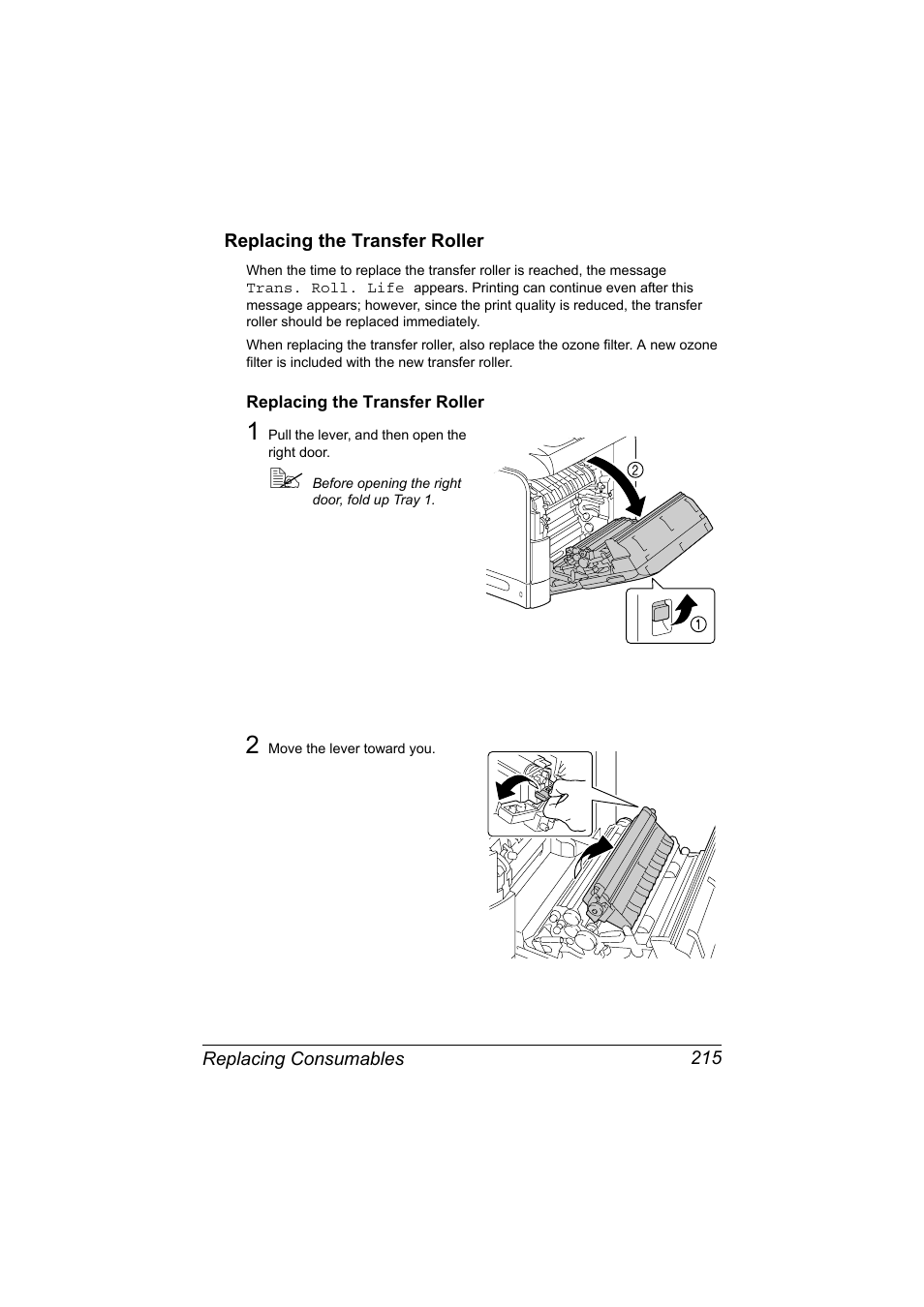 Replacing the transfer roller, Replacing the transfer roller 215 | Konica Minolta MAGICOLOR 4695MF User Manual | Page 229 / 346