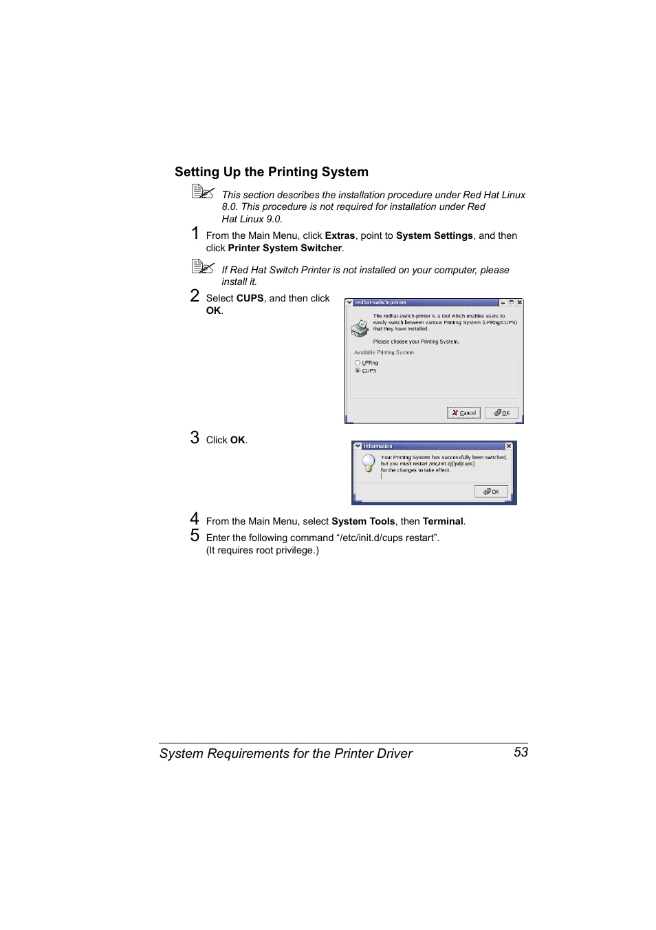 Setting up the printing system, Setting up the printing system 53 | Konica Minolta magicolor 2530 User Manual | Page 61 / 144