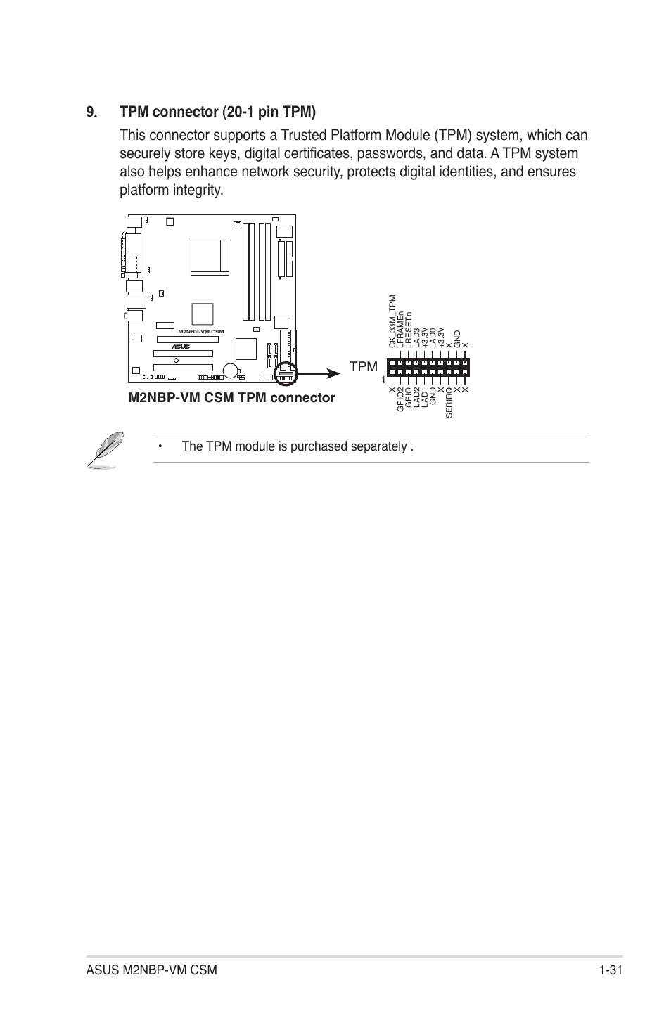 Asus m2nbp-vm csm 1-31, M2nbp-vm csm tpm connector tpm, The tpm module is purchased separately | Asus M2NBP-VM CSM User Manual | Page 41 / 96