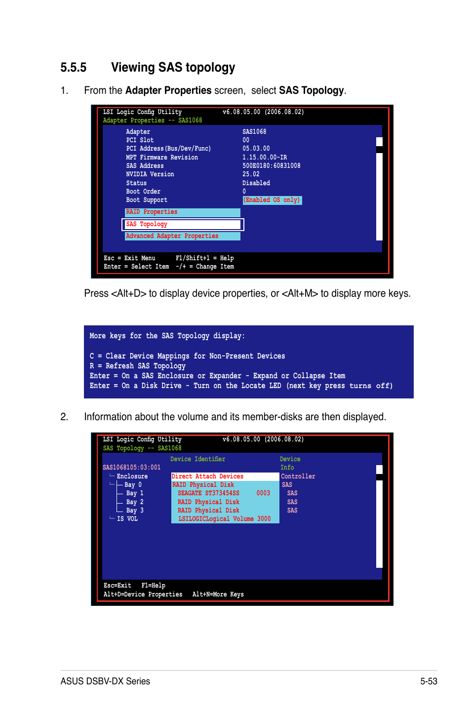 5 viewing sas topology | Asus DSBV-DX/C User Manual | Page 167 / 206