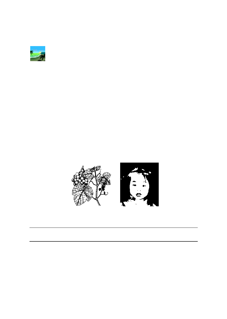 Konica Minolta SC-215 User Manual | Page 42 / 87