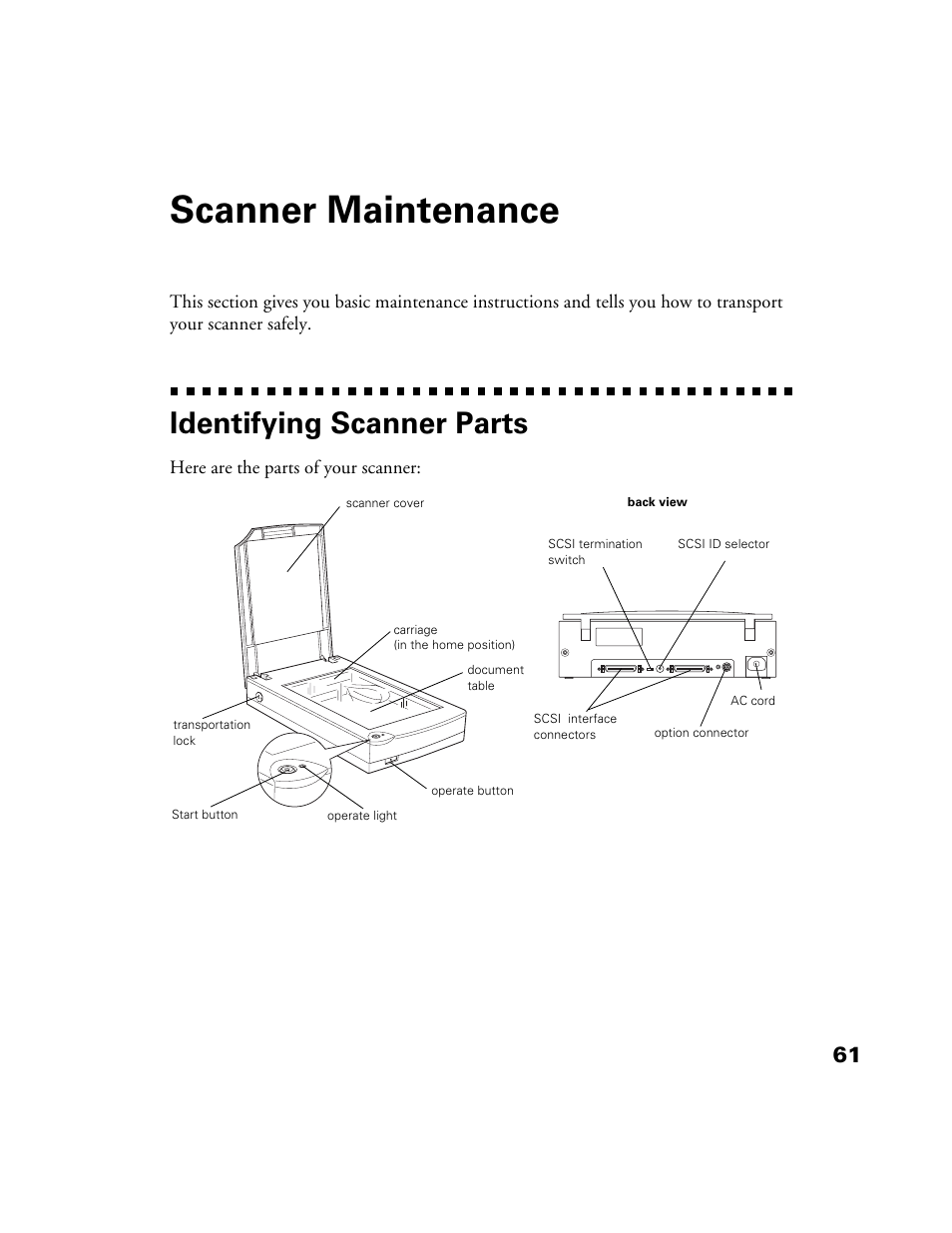 Scanner maintenance, Identifying scanner parts, Here are the parts of your scanner | Epson 1200S User Manual | Page 68 / 113