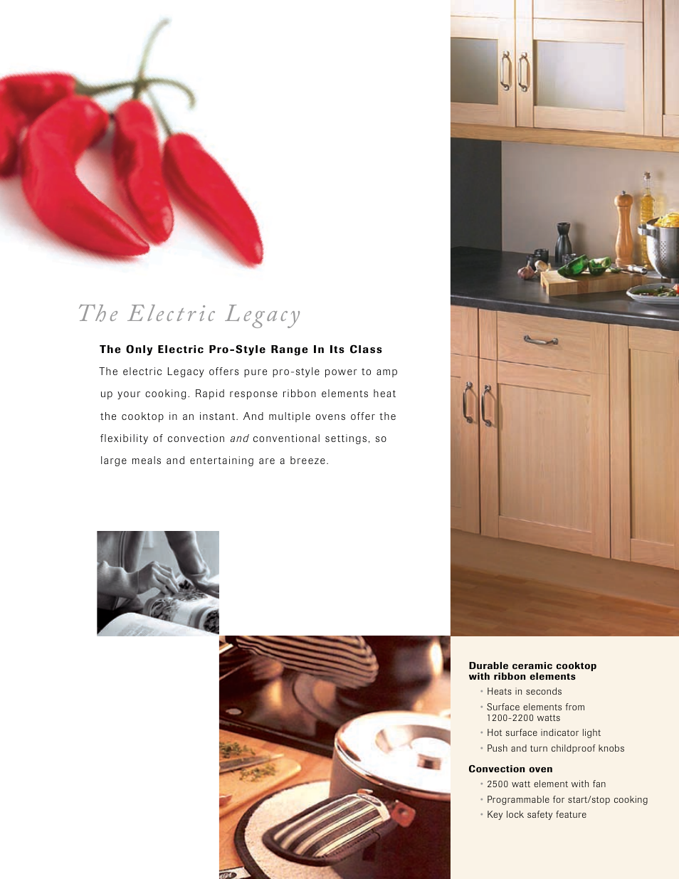 The electric legacy | Aga Ranges Legacy 1200 CFM User Manual | Page 8 / 22