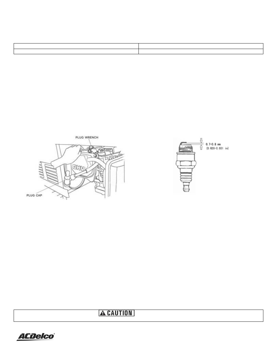 Spark plug maintenance, Emptying the fuel tank | ACDelco AC-G0005 User Manual | Page 23 / 36