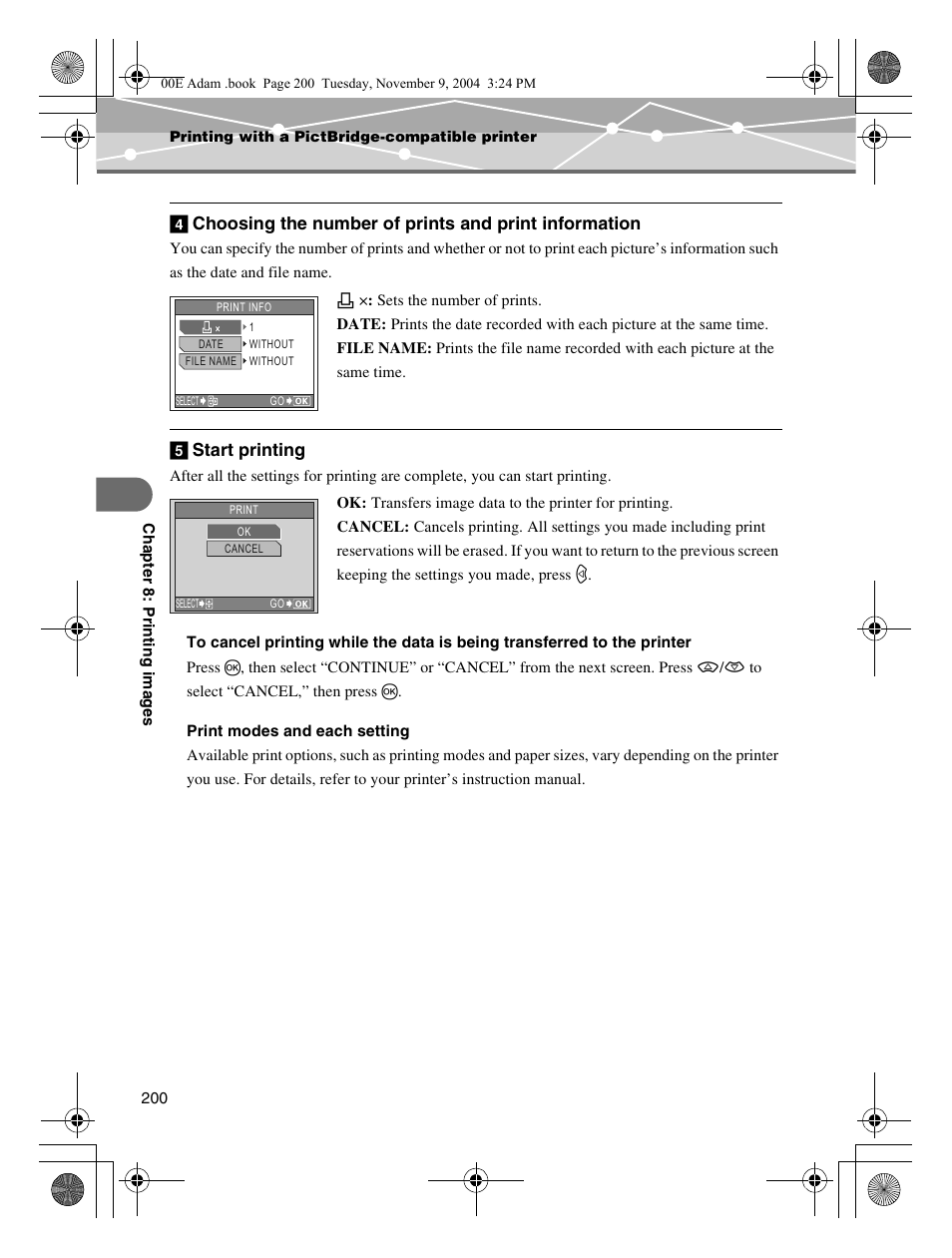 Choosing the number of prints and, Print information, Start printing | E start printing | Olympus IR-500 User Manual | Page 200 / 259