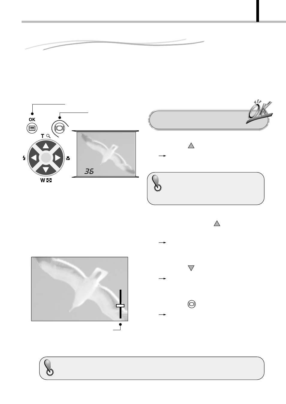 Zooming in on a subject, Zooming in on a subject (digital zoom), Digital zoom) | Olympus D-100 User Manual | Page 59 / 104