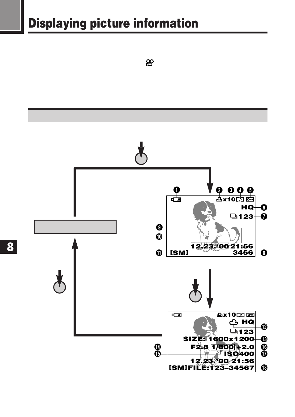 Displaying picture information, Still picture information | Olympus E-100 RS User Manual | Page 150 / 220